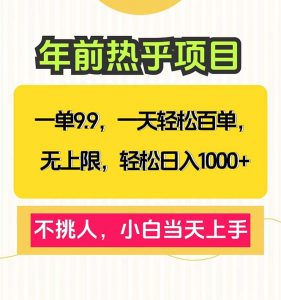 一单9.9，一天百单无上限，不挑人，小白当天上手，轻松日入1000+-川融创客