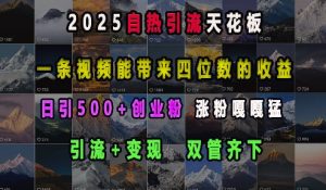 2025自热引流天花板,一条视频能带来四位数的收益,引流+变现双管齐下,日引500+创业粉,涨粉嘎嘎猛-川融创客