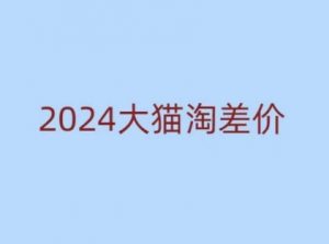 2024版大猫淘差价课程，新手也能学的无货源电商课程-川融创客