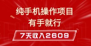 纯手机操作的小项目，有手就能做，7天收入2609+实操教程【揭秘】-川融创客