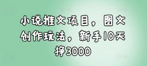 小说推文项目，图文创作玩法，新手10天挣3000-川融创客