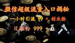 微信超级流量入口揭秘:一小时引流 99 + 创业粉,日涨粉 999 +-川融创客