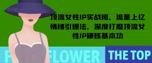 顶流女性IP实战班，流量上亿情绪引爆法，深度打磨顶流女性IP硬核基本功-川融创客