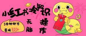 小红书冷知识账号，无脑复制粘贴，5分钟即可变现3张-川融创客