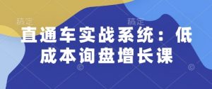 直通车实战系统：低成本询盘增长课，让个人通过技能实现升职加薪，让企业低成本获客，订单源源不断-川融创客