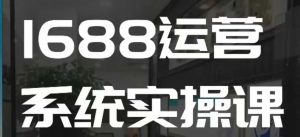 1688高阶运营系统实操课，快速掌握1688店铺运营的核心玩法-川融创客
