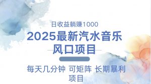 2025最新汽水音乐躺赚项目 每天几分钟 日入1000＋-川融创客
