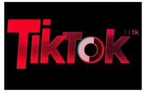 TikTok ads投流秘籍，涵盖tiktok整体投放思路，教你搭建测试计划-川融创客