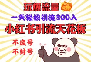 小红书引流天花板，玩爆流量，一天轻松引流300人，安全操作-川融创客