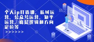 个人ip打造课，私域运营，公众号运营，知乎运营，底层逻辑和方向定位等-川融创客