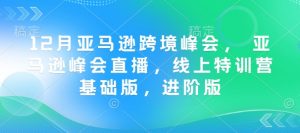 12月亚马逊跨境峰会， 亚马逊峰会直播，线上特训营基础版，进阶版-川融创客