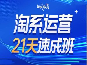 淘系运营21天速成班35期，年前最后一波和2025方向-川融创客
