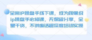 全案IP操盘手线下课，成为现象级ip操盘手必修课，无保留分享，全是干货，不讲废话超深度培训实操-川融创客
