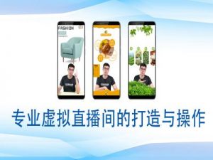 个人虚拟直播间的搭建与操作,专业虚拟直播间的打造与操作-川融创客