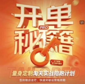 淘宝开单秘籍PRO，量身定制淘天实战陪跑计划，告别做店迷茫、快速突破运营瓶颈期-川融创客