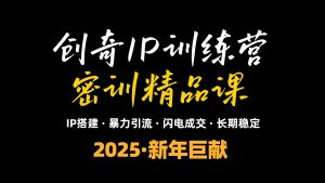 2025年“知识付费IP训练营”小白避坑年赚百万,暴力引流,闪电成交-川融创客