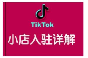 TikTok跨境小店运营全攻略，帮助你独立运营TK跨境小店的能力，实现销量增长-川融创客