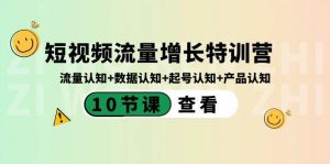 短视频流量增长特训营：流量认知+数据认知+起号认知+产品认知（10节课）-川融创客