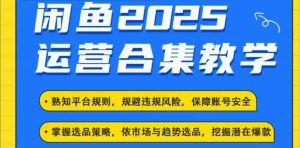 2025闲鱼电商运营全集,2025最新咸鱼玩法-川融创客