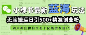 小绿书无脑搬运引流,全自动日引500精准创业粉,微信生态内又一个闷声发财的机会-川融创客