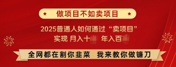 必看,做项目不如卖项目,2025普通人如何通过“卖项目”实现月入十个,年入百个-川融创客