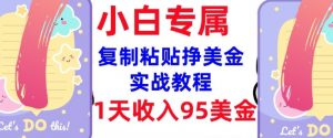 复制粘贴挣美金，0门槛，1天收入95美刀，3分钟学会，内部教程(首次公开)-川融创客