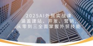 2025AI外贸实战课：涵盖建站、开发、营销, 从零到三全面掌握外贸技能-川融创客