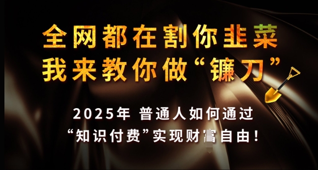 全网都在割你韭菜,我来教你做镰刀,2025年普通人如何通过 知识付费 实现财F自由【揭秘】-川融创客