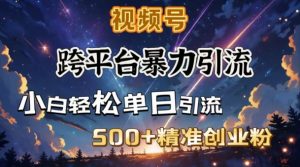 跨平台暴力引流，私域完美闭环，日引500+精准创业粉-川融创客