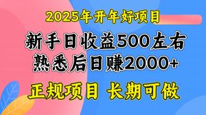 2025开年好项目,单号日收益2000左右-川融创客