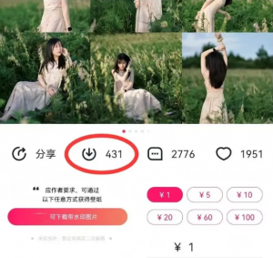 最新图虫搬运项目,收益无上限,利用AI小白也可日赚500+-川融创客