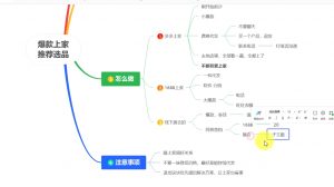 苏博士·淘宝精细化铺货运营陪跑(部分更新至2025)-川融创客