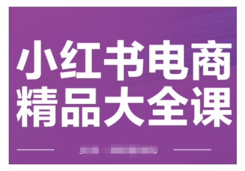 小红书电商精品大全课,快速掌握小红书运营技巧,实现精准引流与爆单目标,轻松玩转小红书电商(更新2月)-川融创客