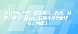 小红书必修课，覆盖电商，无人，获客，种草，mcn，直播等多个板块，看了就能干-川融创客