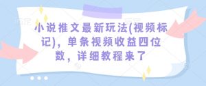 小说推文最新玩法(视频标记)，单条视频收益四位数，详细教程来了-川融创客