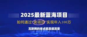 2025最新蓝海项目，零门槛轻松复制，月入10万+，新手也能操作！-川融创客