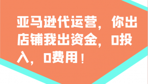 亚马逊代运营，你出店铺我出资金，0投入，0费用，无责任每天300分红，赢亏我承担-川融创客
