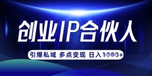云帆·创业ip合伙人打造3.0，从0到1教你做网创，实现月入过W-川融创客