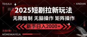 2025短剧拉新玩法，无需注册登录，无限0撸，无脑批量操作日入2000+-川融创客