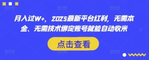 月入过W+，2025最新平台红利，无需本金、无需技术绑定账号就能自动收米-川融创客