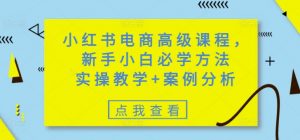 小红书电商高级课程，新手小白必学方法，实操教学+案例分析-川融创客