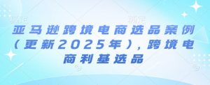 亚马逊跨境电商选品案例(更新2025年3月)，跨境电商利基选品-川融创客