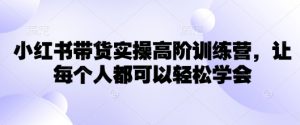 小红书带货实操高阶训练营，让每个人都可以轻松学会-川融创客