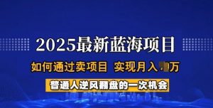 2025蓝海项目，普通人如何通过卖项目，实现月入过W，全过程【揭秘】-川融创客