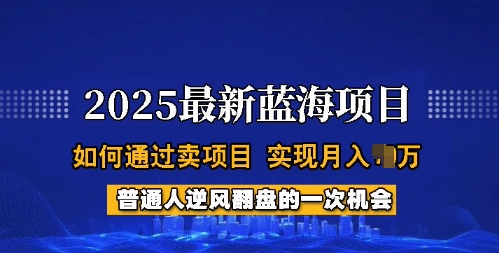 2025蓝海项目，普通人如何通过卖项目，实现月入过W，全过程【揭秘】-川融创客