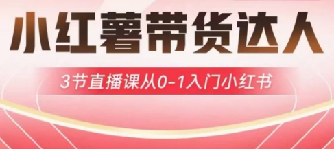 小红薯达人带货启航计划,3节直播课从0-1入门小红书-川融创客