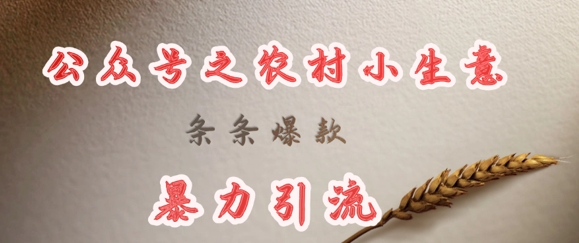 deepseek写农村小项目,条条爆款,暴力引流-川融创客