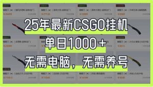 25年最新CSGO挂机系统，单日1000+，无需电脑，无需养号，0基础可上手-川融创客