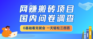 网赚搬砖项目，国内问卷调查，0基础看完就会 一天轻松三四百，靠谱副业...-川融创客
