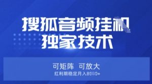 【搜狐音频挂G】独家技术，可矩阵可放大，红利期稳定月入8k【揭秘】-川融创客